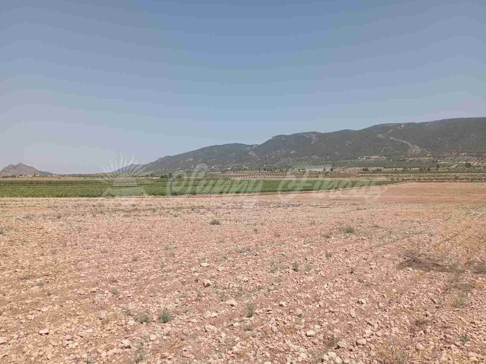 Helårsgrund i Yecla, Murcia - foto 1